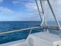 Great day of scuba diving in Key Largo with Rainbow Reef on snapper ledge tropical legend 2020 12 20 r10442 1