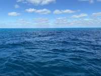 Great day of scuba diving in Key Largo with Rainbow Reef on spiegel grove tropical odyssey 2020 12 03 r10362 1