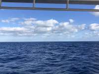 Great day of scuba diving in Key Largo with Rainbow Reef on spiegel grove tropical odyssey 2020 12 19 r10425 1