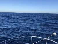 Great day of scuba diving in Key Largo with Rainbow Reef on uscgc duane tropical destiny 2020 12 27 r10482 1
