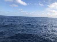 Great day of scuba diving in Key Largo with Rainbow Reef on uscgc duane tropical odyssey 2020 12 18 r10421 1