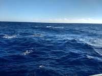 Great day of scuba diving in Key Largo with Rainbow Reef on uscgc duane tropical odyssey 2020 12 24 r10470 1