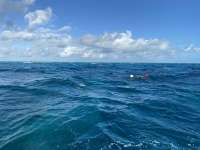 Great day of scuba diving in Key Largo with Rainbow Reef on winch hole tropical legend 2020 12 24 r10469 1