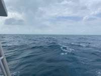 Great day of scuba diving in Key Largo with Rainbow Reef on french reef santana 2020 02 26 r9300 1
