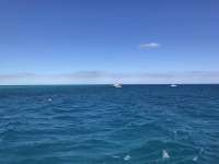 Great day of scuba diving in Key Largo with Rainbow Reef on molasses reef tropical serenity 2020 02 28 r9308 1