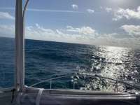 Great day of scuba diving in Key Largo with Rainbow Reef on snapper ledge tropical destiny 2020 02 18 r9268 1