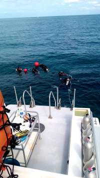 Great day of scuba diving in Key Largo with Rainbow Reef on snapper ledge tropical legend 2020 02 29 r9315 1