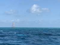 Great day of scuba diving in Key Largo with Rainbow Reef on spanish anchor santana 2020 02 26 r9298 1