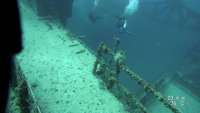 Great day of scuba diving in Key Largo with Rainbow Reef on spiegel grove tropical destiny 2020 02 20 r9275 1