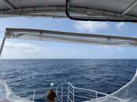 Great day of scuba diving in Key Largo with Rainbow Reef on spiegel grove tropical odyssey 2020 02 14 r9243 1