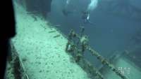 Great day of scuba diving in Key Largo with Rainbow Reef on spiegel grove tropical odyssey 2020 02 16 r9258 1