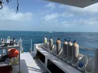 Great day of scuba diving in Key Largo with Rainbow Reef on woodys tropical legend 2020 02 13 r9241 1