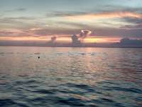 Great day of scuba diving in Key Largo with Rainbow Reef on benwood wreck tropical destiny 2020 07 14 r9792 1