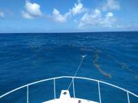 Great day of scuba diving in Key Largo with Rainbow Reef on benwood wreck tropical destiny 2020 07 24 r9828 1