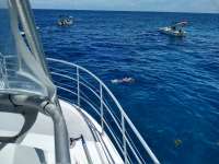 Great day of scuba diving in Key Largo with Rainbow Reef on benwood wreck tropical legend 2020 07 07 r9738 1