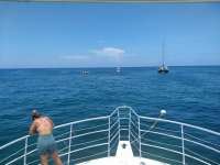 Great day of scuba diving in Key Largo with Rainbow Reef on benwood wreck tropical odyssey 2020 07 15 r9800 1