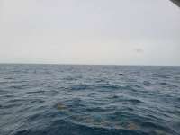 Great day of scuba diving in Key Largo with Rainbow Reef on benwood wreck tropical odyssey 2020 07 18 r9816 1