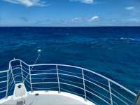 Great day of scuba diving in Key Largo with Rainbow Reef on conch ledge tropical legend 2020 07 25 r9831 1