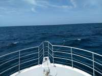 Great day of scuba diving in Key Largo with Rainbow Reef on drift french tropical odyssey 2020 07 12 r9775 1
