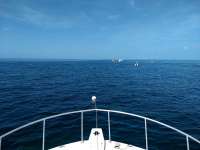 Great day of scuba diving in Key Largo with Rainbow Reef on drift molasses tropical destiny 2020 07 14 r9785 1