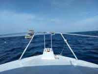 Great day of scuba diving in Key Largo with Rainbow Reef on drift molasses tropical explorer 2020 07 11 r9763 1
