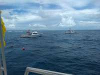 Great day of scuba diving in Key Largo with Rainbow Reef on eagle ray alley tropical serenity 2020 07 17 r9813 1