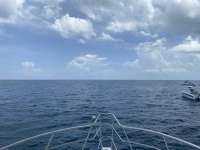 Great day of scuba diving in Key Largo with Rainbow Reef on french reef tropical adventure 2020 07 10 r9755 1