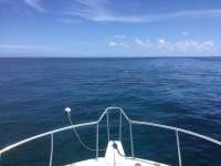 Great day of scuba diving in Key Largo with Rainbow Reef on french reef tropical serenity 2020 07 08 r9745 1