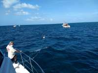 Great day of scuba diving in Key Largo with Rainbow Reef on french reef tropical voyager 2020 07 13 r9782 1