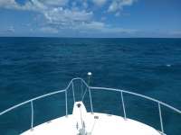 Great day of scuba diving in Key Largo with Rainbow Reef on minnow cave tropical serenity 2020 07 19 r9821 1