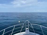 Great day of scuba diving in Key Largo with Rainbow Reef on molasses reef tropical adventure 2020 07 10 r9752 1