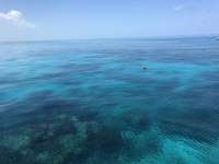 Great day of scuba diving in Key Largo with Rainbow Reef on north dry rocks tropical legend 2020 07 01 r9688 1