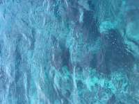 Great day of scuba diving in Key Largo with Rainbow Reef on north star santana 2020 07 02 r9692 1
