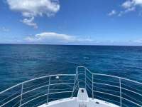 Great day of scuba diving in Key Largo with Rainbow Reef on pickles reef tropical legend 2020 07 19 r9820 1