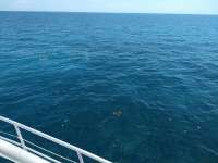 Great day of scuba diving in Key Largo with Rainbow Reef on racetrack tropical odyssey 2020 07 09 r9750 1