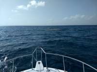 Great day of scuba diving in Key Largo with Rainbow Reef on snapper ledge tropical serenity 2020 07 28 r9848 1