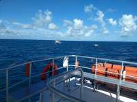 Great day of scuba diving in Key Largo with Rainbow Reef on spanish anchor tropical serenity 2020 07 19 r9819 1