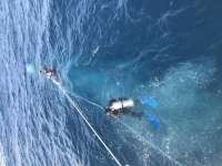 Great day of scuba diving in Key Largo with Rainbow Reef on spiegel grove tropical adventure 2020 07 12 r9773 1