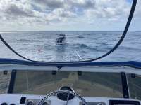 Great day of scuba diving in Key Largo with Rainbow Reef on spiegel grove tropical adventure 2020 07 26 r9834 1