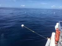 Great day of scuba diving in Key Largo with Rainbow Reef on spiegel grove tropical destiny 2020 07 03 r9700 1