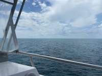 Great day of scuba diving in Key Largo with Rainbow Reef on the horseshoe tropical odyssey 2020 07 05 r9717 1