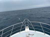 Great day of scuba diving in Key Largo with Rainbow Reef on winch hole tropical adventure 2020 07 18 r9815 1
