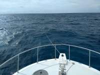 Great day of scuba diving in Key Largo with Rainbow Reef on benwood wreck tropical destiny 2020 06 03 r9437 1