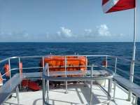 Great day of scuba diving in Key Largo with Rainbow Reef on benwood wreck tropical legend 2020 06 28 r9662 1