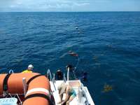 Great day of scuba diving in Key Largo with Rainbow Reef on benwood wreck tropical serenity 2020 06 22 r9591 1