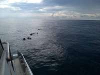Great day of scuba diving in Key Largo with Rainbow Reef on benwood wreck tropical voyager 2020 06 21 r9577 1
