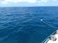 Great day of scuba diving in Key Largo with Rainbow Reef on benwood wreck tropical voyager 2020 06 23 r9596 1