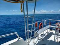 Great day of scuba diving in Key Largo with Rainbow Reef on christ statue tropical serenity 2020 06 09 r9470 1