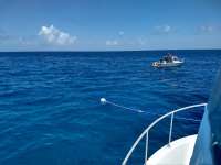 Great day of scuba diving in Key Largo with Rainbow Reef on christmastree cave tropical serenity 2020 06 24 r9617 1