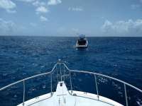 Great day of scuba diving in Key Largo with Rainbow Reef on christmastree cave tropical serenity 2020 06 27 r9658 1